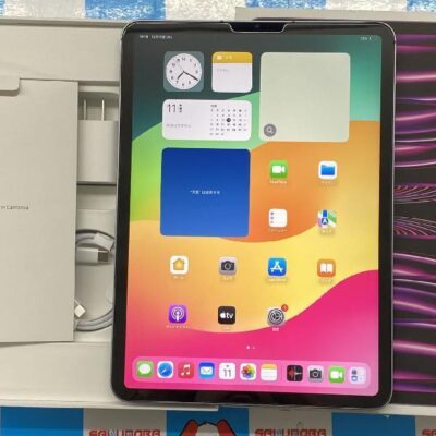 iPad Pro 11インチ 第4世代 Apple版SIMフリー 256GB MNYE3J/A A2761 新品同様