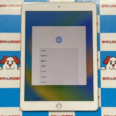 iPad 第5世代 Wi-Fiモデル 32GB MPGT2J/A A1822 極美品