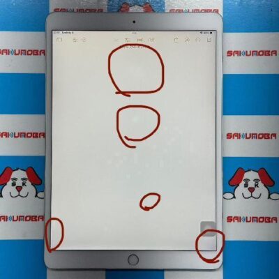iPad Pro 10.5インチ SoftBank版SIMフリー 256GB MPHH2J/A A1709 訳あり品