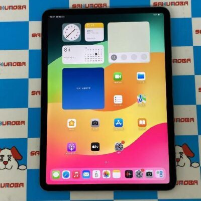 iPad Pro 11インチ 第2世代 Wi-Fiモデル 256GB MXDC2J/A A2228 美品
