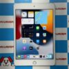 iPad mini 第4世代 docomo版SIMフリー 128GB MK772J/A A1550 訳あり品-正面